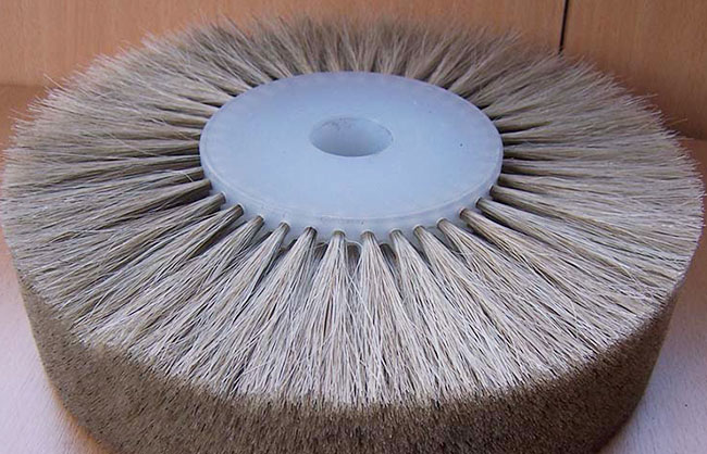 cepillos para calzado